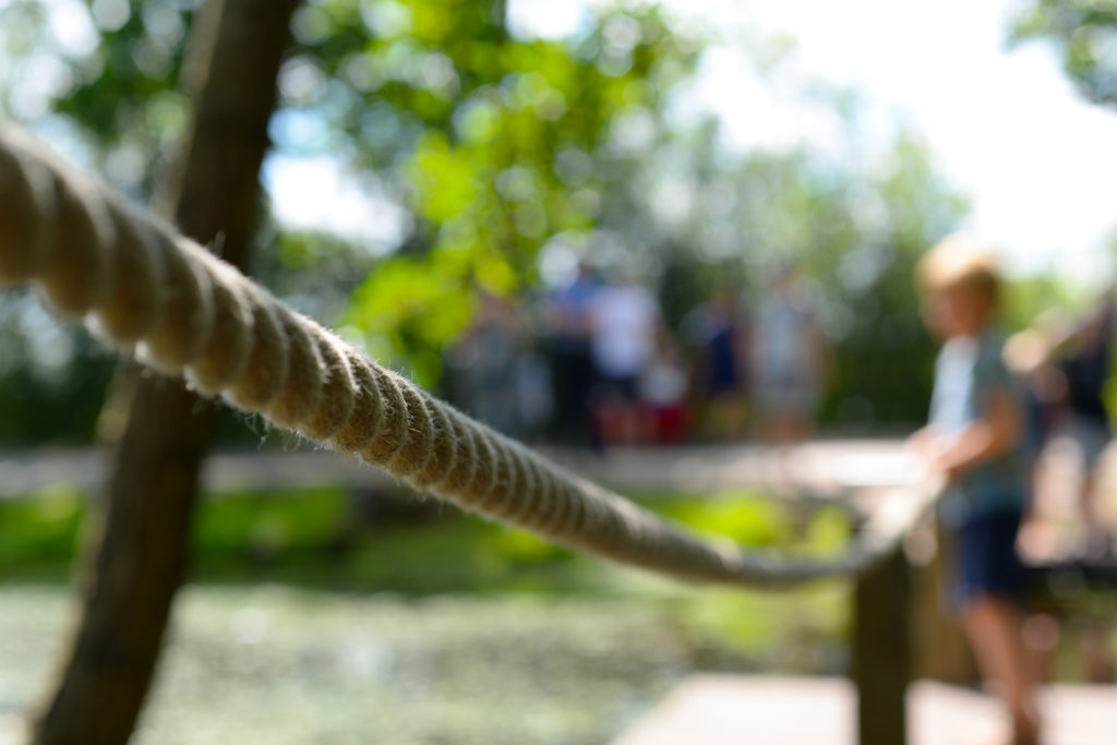 rope-2510937_by_skitterphoto_cc0-gemeinfrei_pixabay_pfarrbriefservice